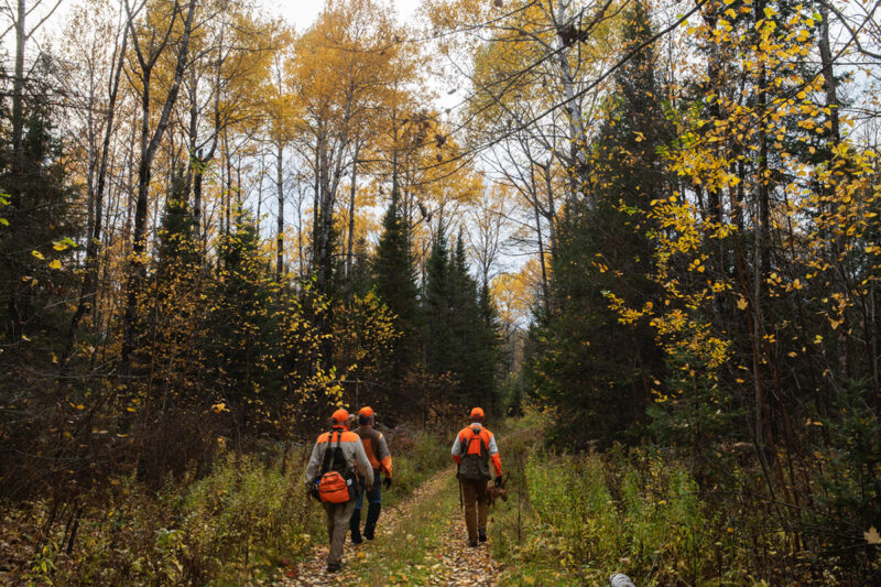 three hunters