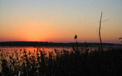 The Day I Found Myself – A Wood Duck Hunt