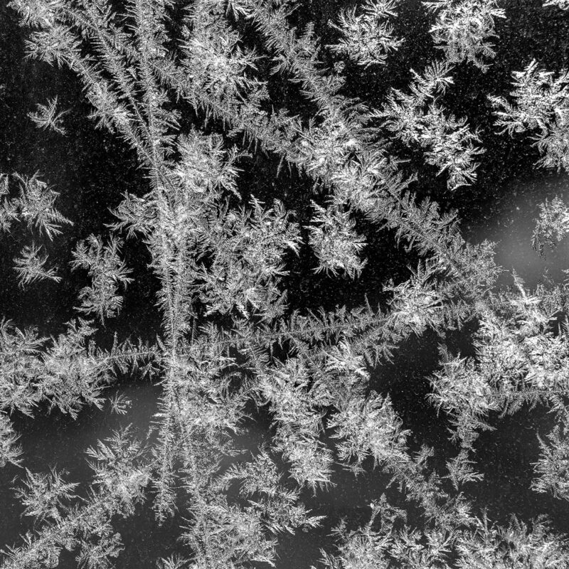 Window frost