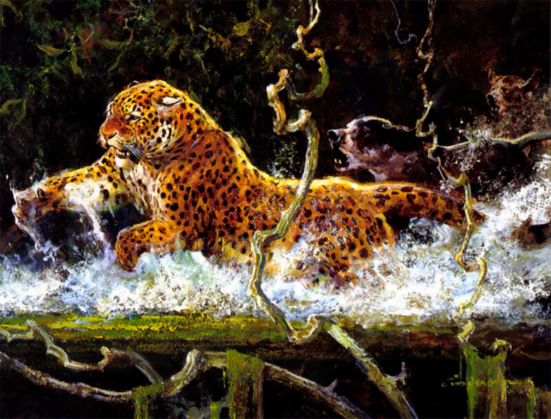 leopard chased by dogs
