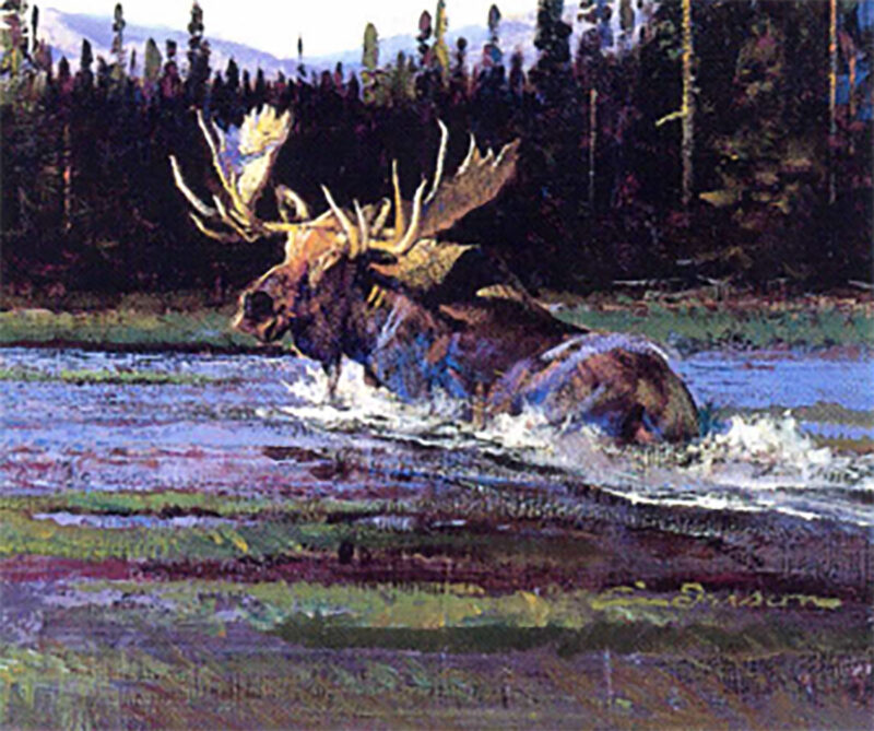 elk in water