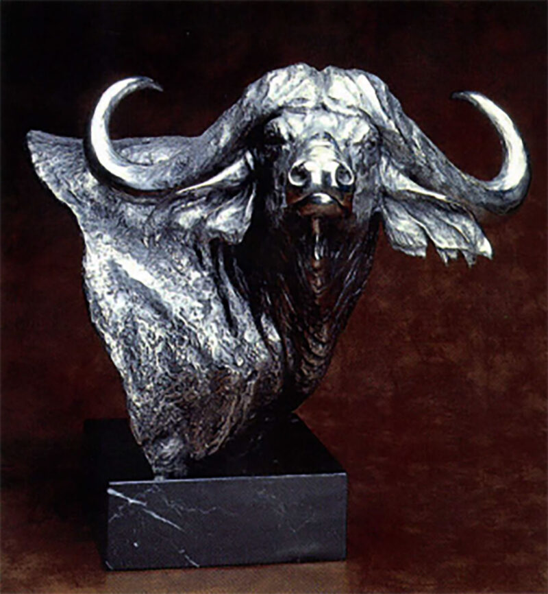 Cape Buffalo bust