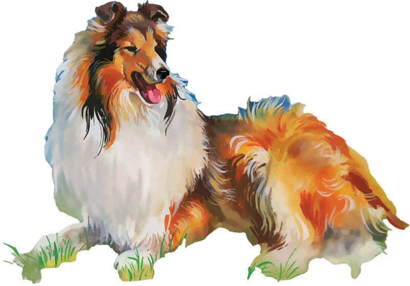 lassie paint