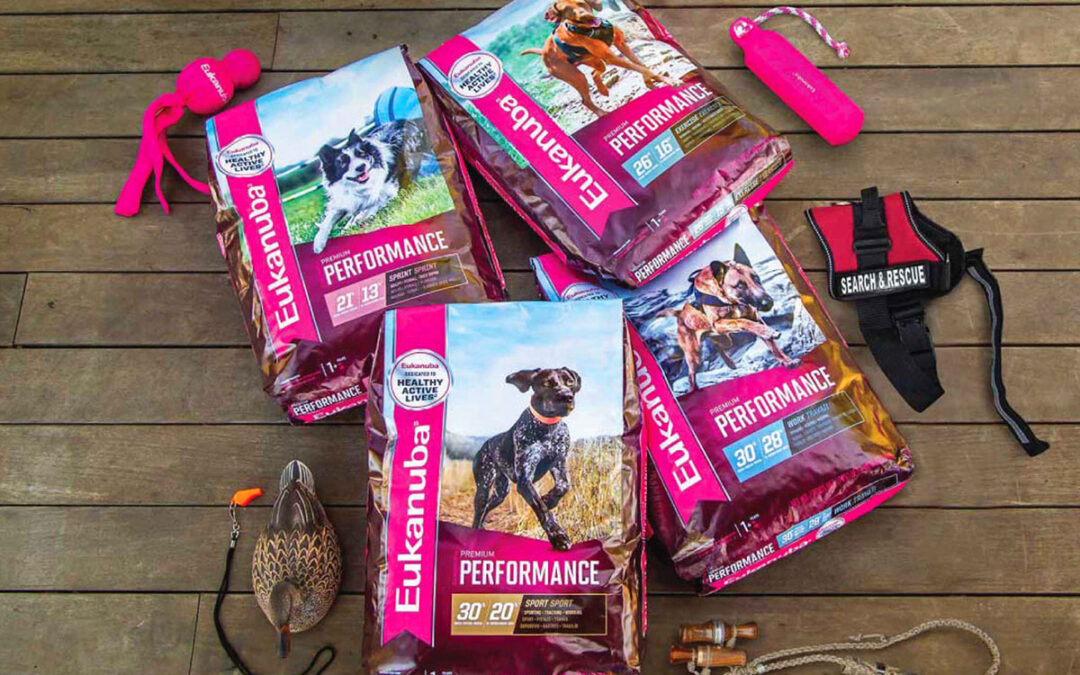 Eukanuba Dog Food OffSeason Nutrition Sporting Classics Daily