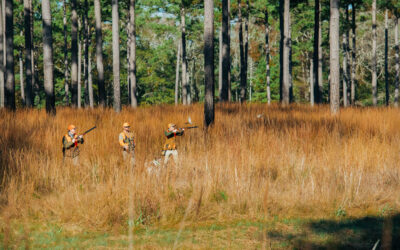 Fall at Brays Island