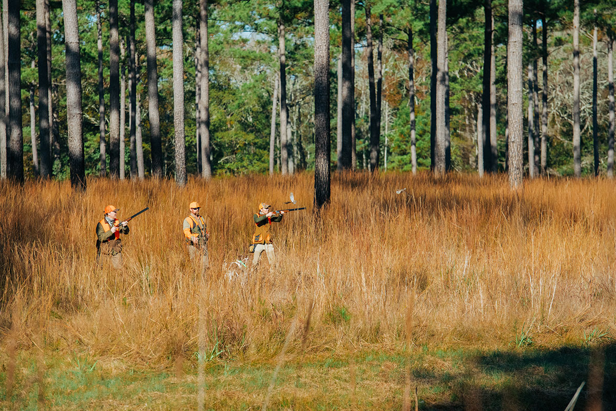 Fall at Brays Island