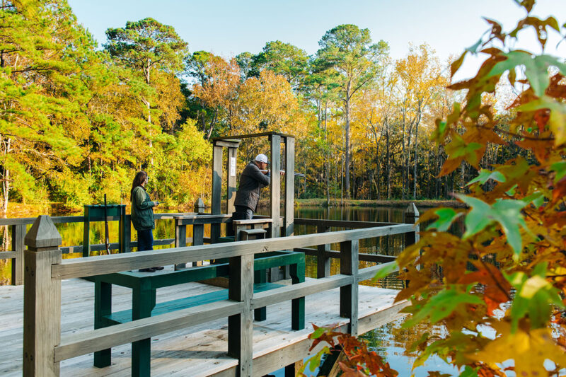 Fall at Brays Island