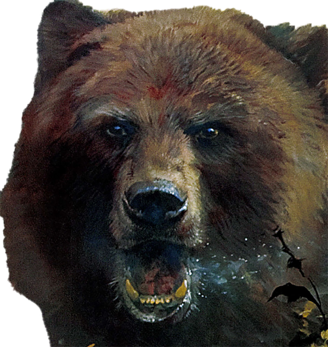 A Man-Killing Bear