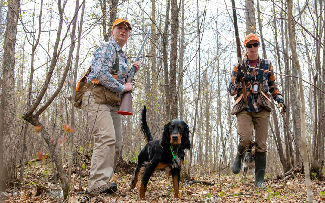Overcoming In-Season Obstacles with Your Bird Dog