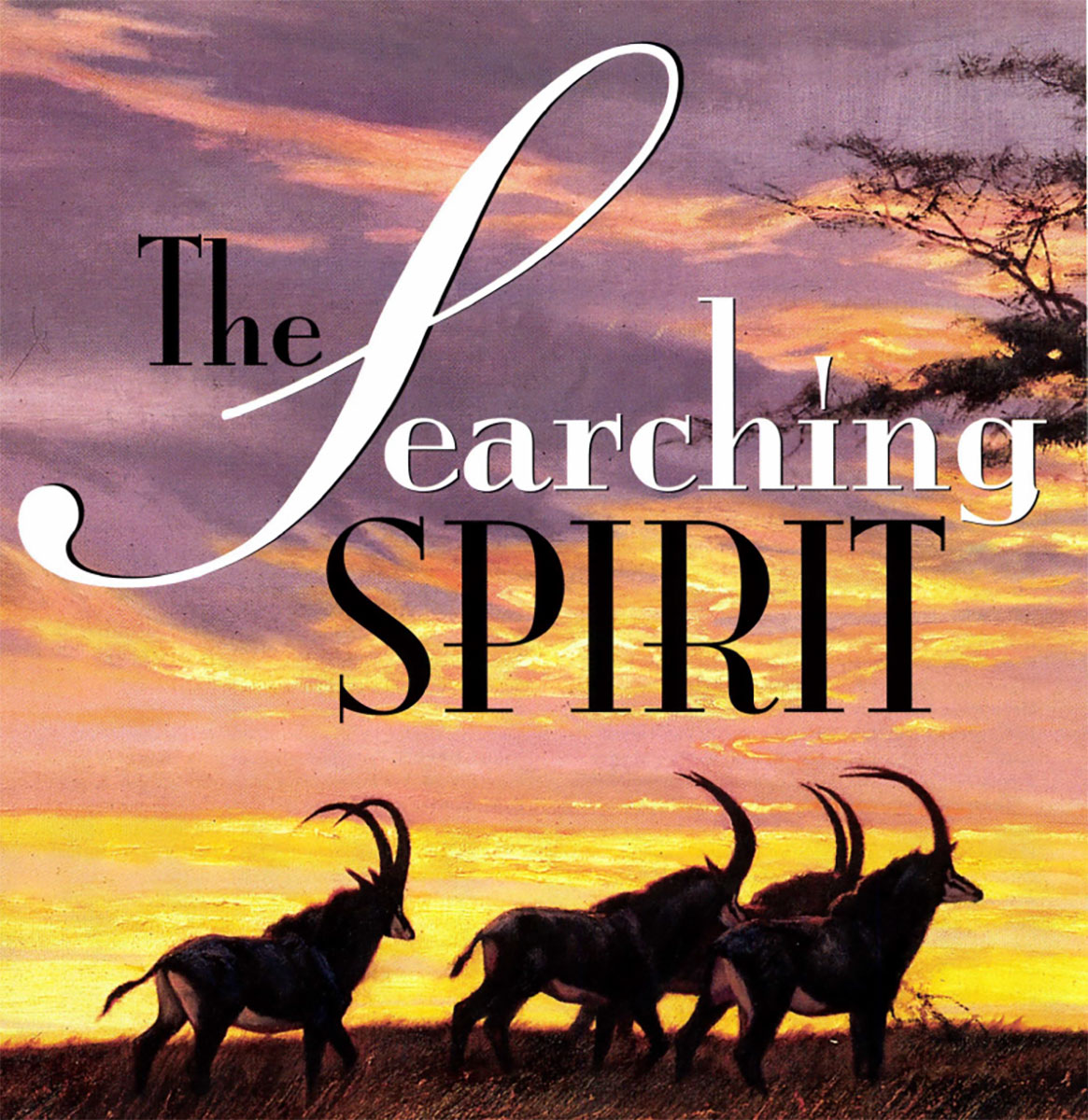 Larry Norton and The Searching Spirit