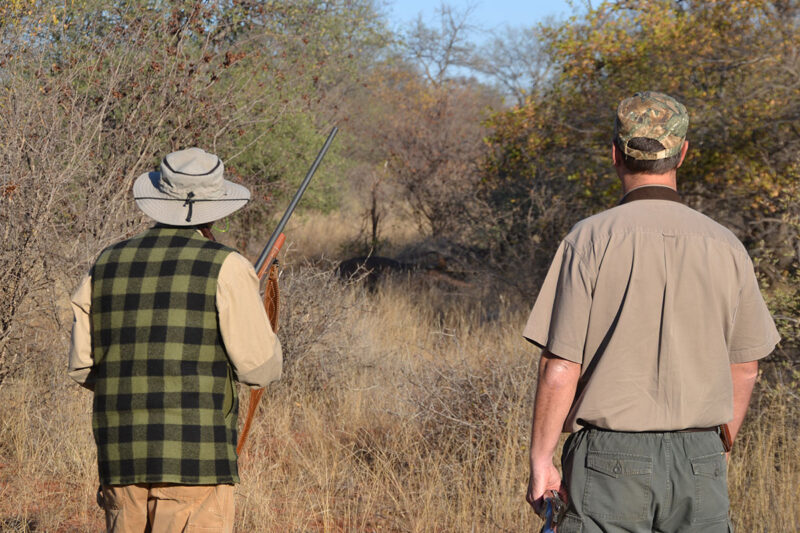 Suspense and Singing in the Bushveld