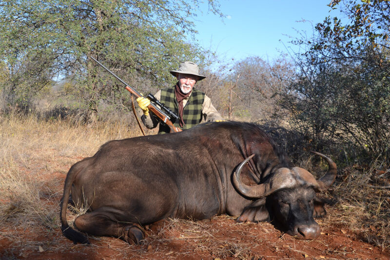 Suspense and Singing in the Bushveld