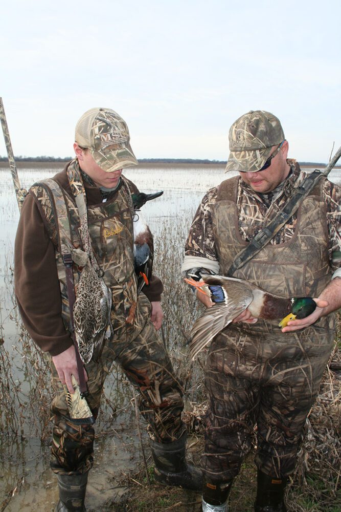 History from A Duck Blind