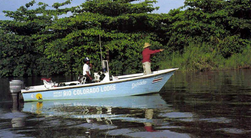 Caribbean Silvers in Another World