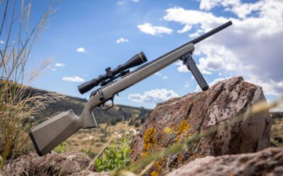 Springfield Armory Releases 2020 Rimfire