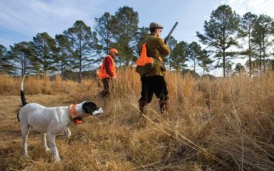 Brays Island Plantation: Your Sporting Life Awaits