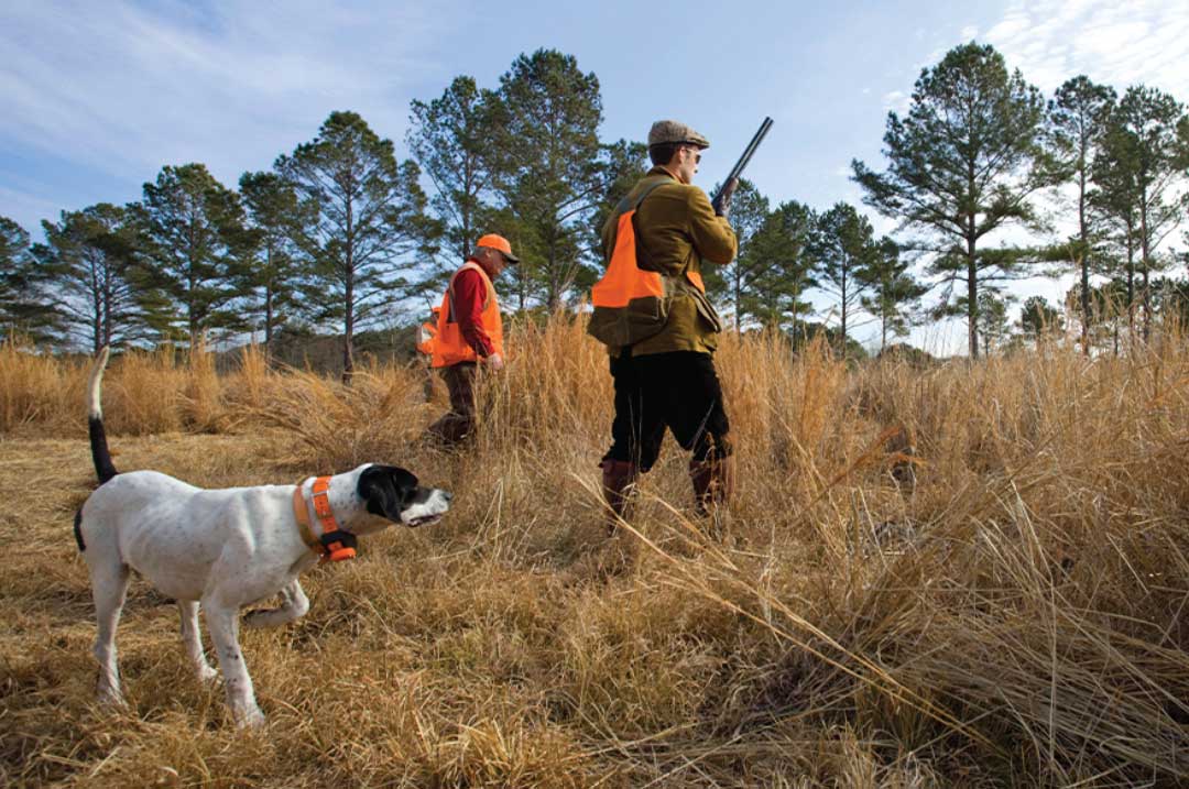 Brays Island Plantation: Your Sporting Life Awaits