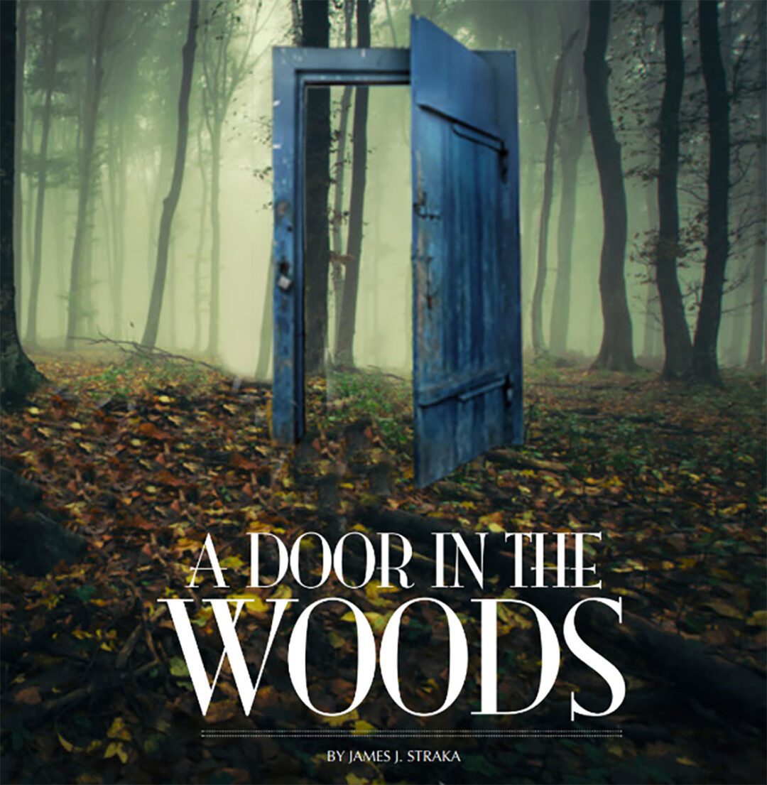 A Door in the Woods