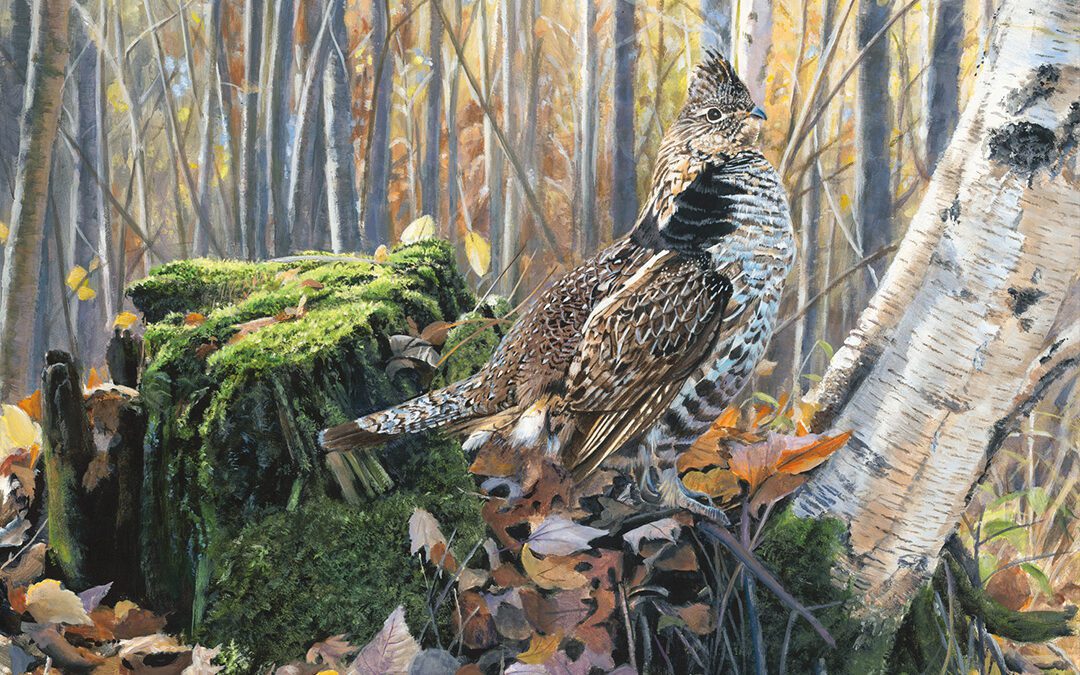 Grouse of the Little Hills