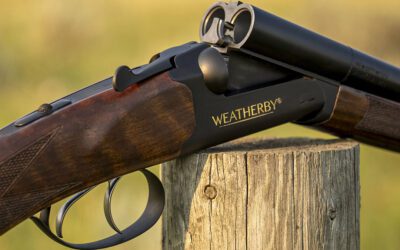 Weatherby Orion