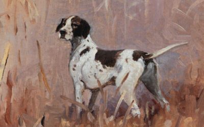 Mollygrubs Messer: Trials and Tribulations with an English Pointer