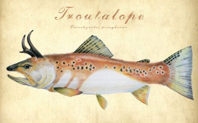 Troutalope