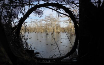 Hunting Beaver Dam Lake