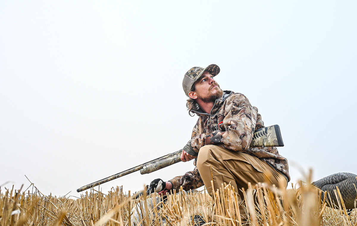 Goose hunter in field looking back at geese coming in