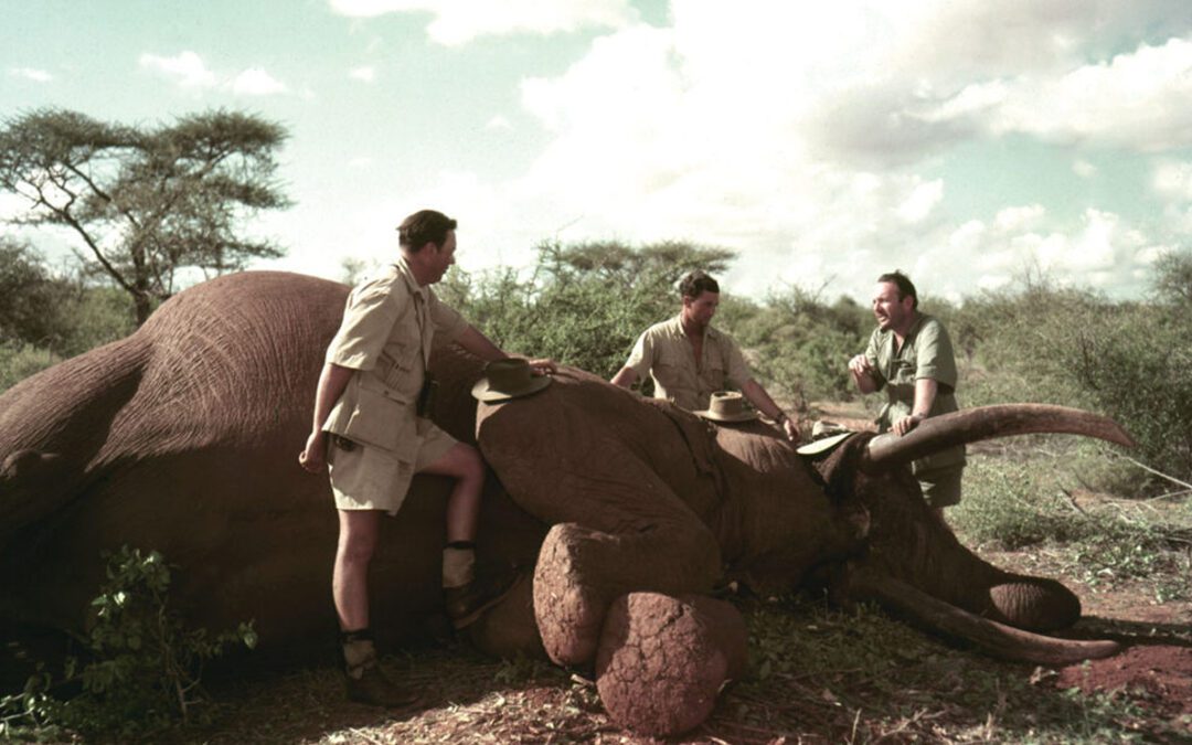 Ruark On Safari: The Grand Old Elephant
