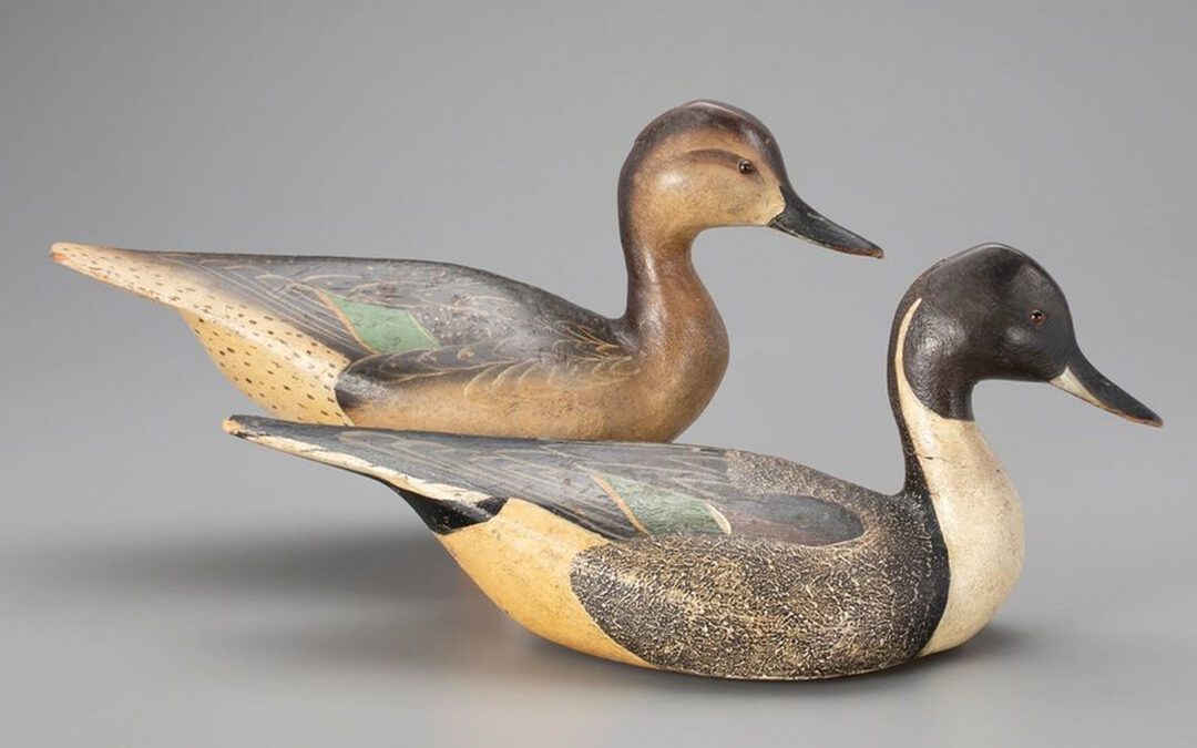 Ducks of Wood: A Good Investment or Not?