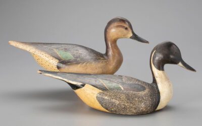 Ducks of Wood: A Good Investment or Not?