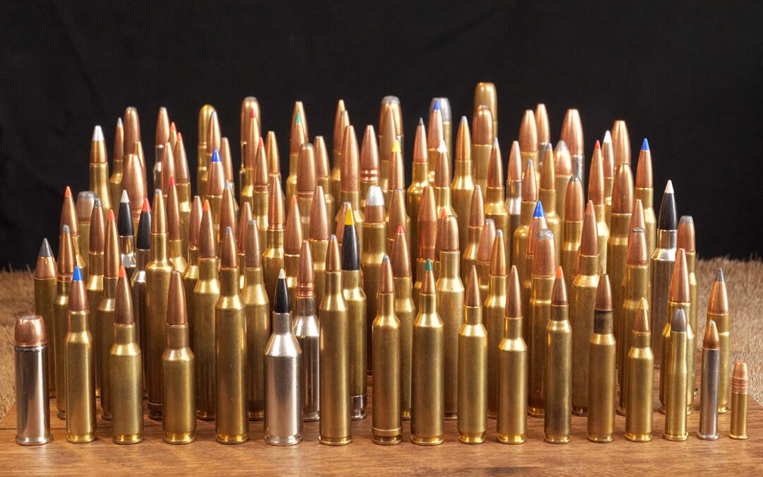 How to Select Your Next Hunting Cartridge