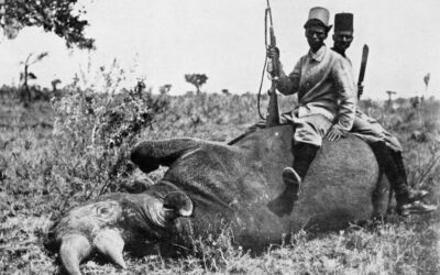 Hunting Rhinoceros On the Upper Nile