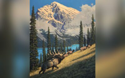 Roping Elk In the Rockies