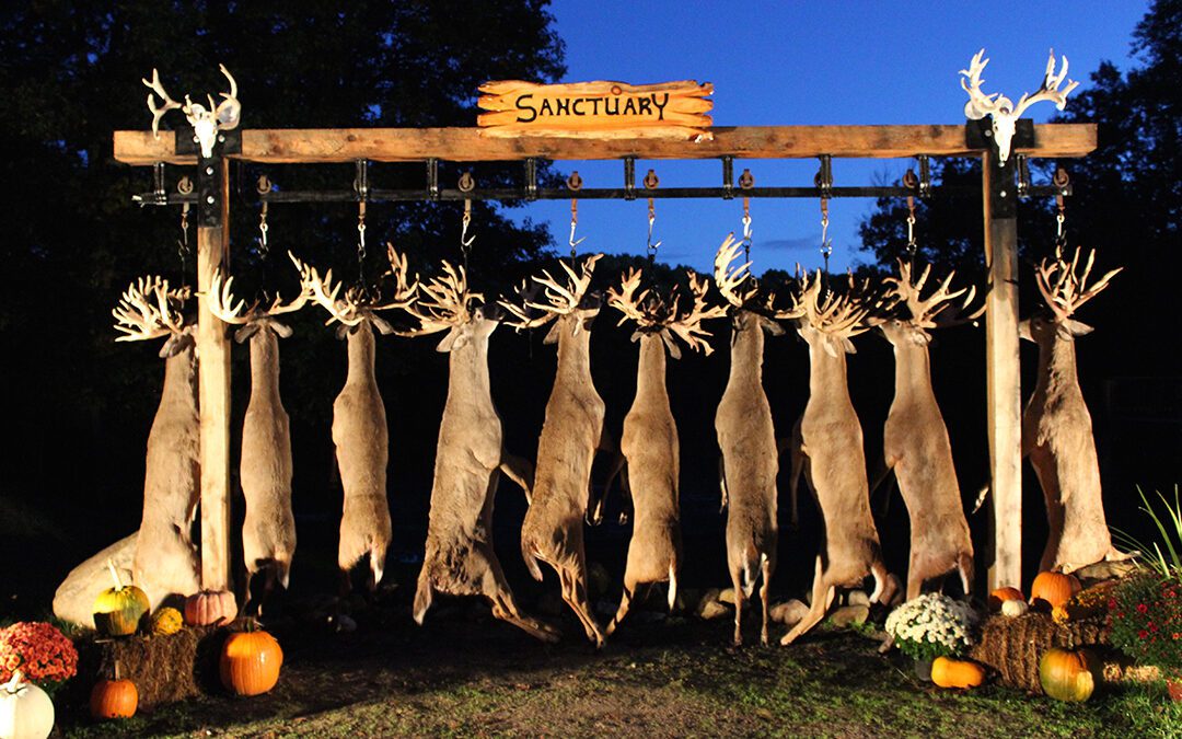 Sanctuary Ranch: The Deer of Your Dreams