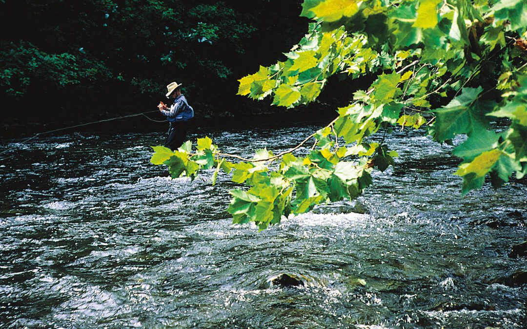 America's Best Trout Streams - Sporting Classics Daily