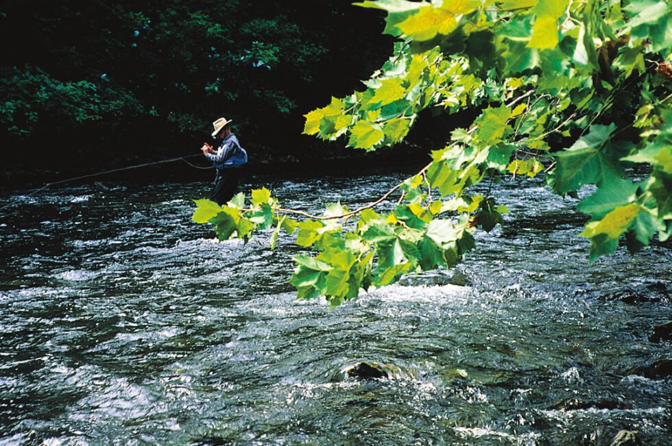 America’s Best Trout Streams - Sporting Classics Daily