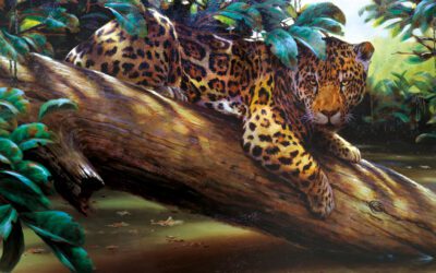 Night of the Jaguar