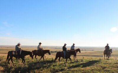 Home on the Range