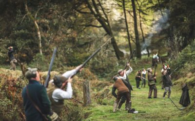 Driven Birds in North Devonshire