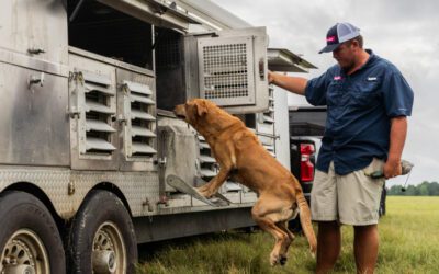 25 Years of the Super Retriever Series