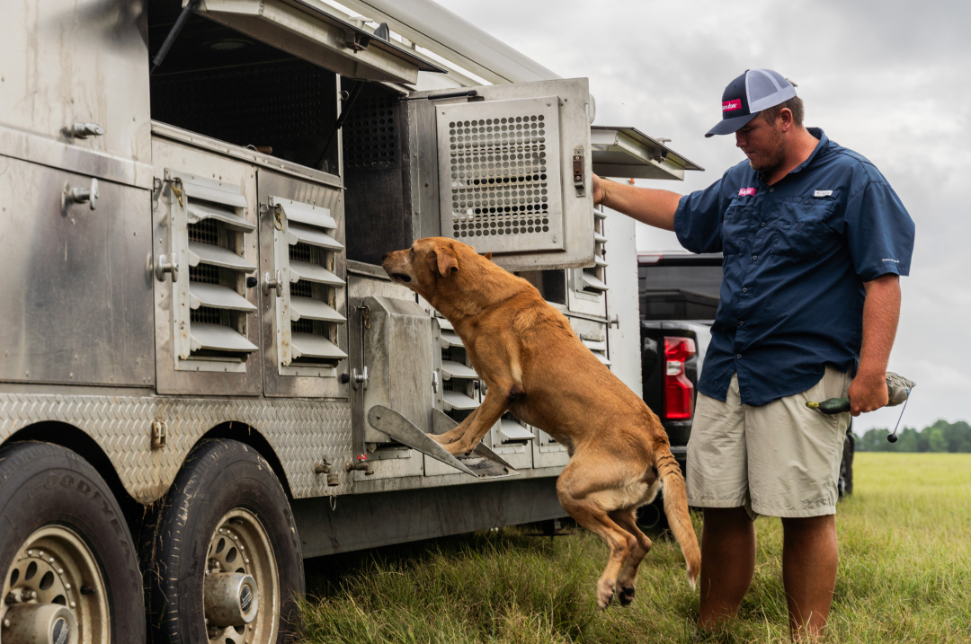 25 Years of the Super Retriever Series