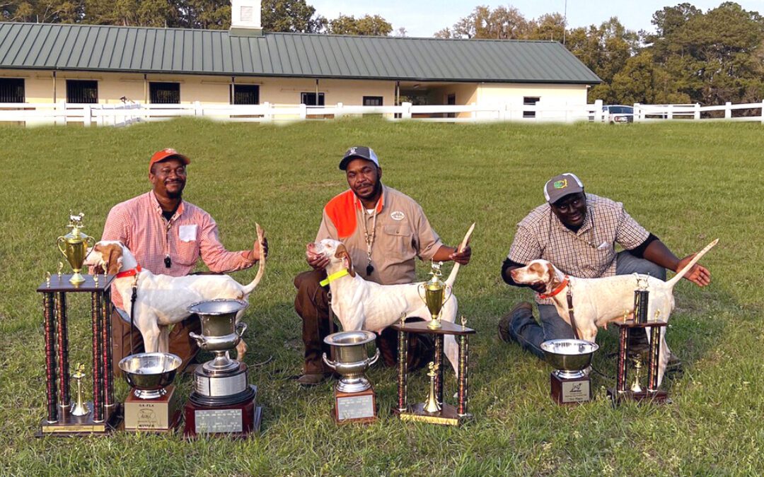 Black Dog Handlers