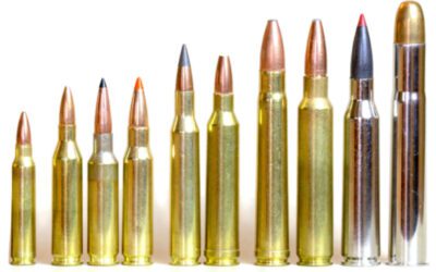 Rifle Cartridges: All in the Family