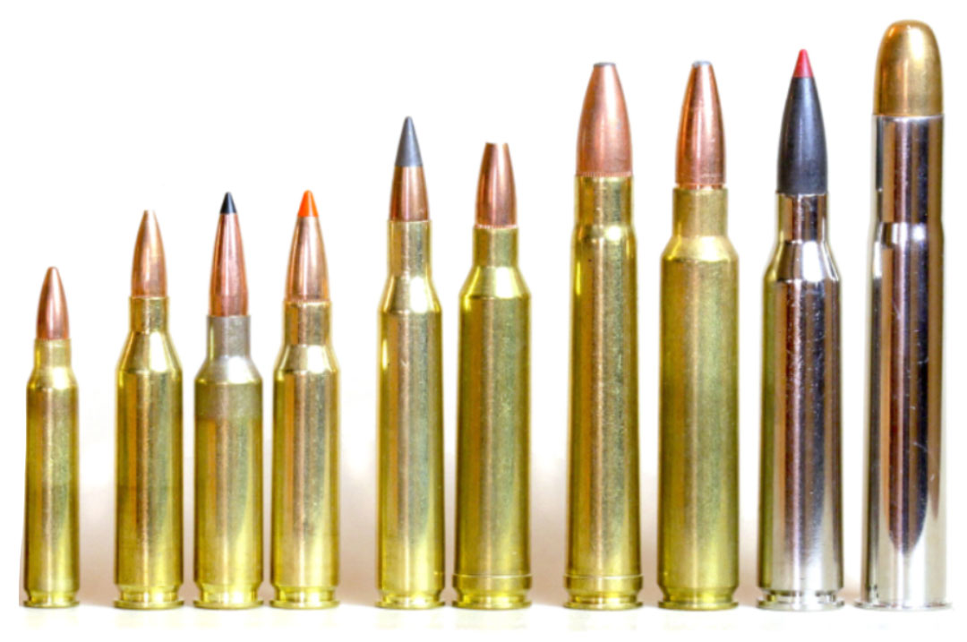 Rifle Cartridges: All in the Family