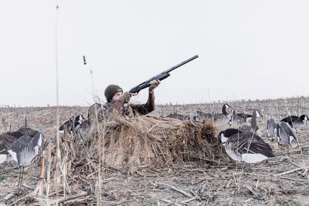 Tested: Benelli’S M2 Field