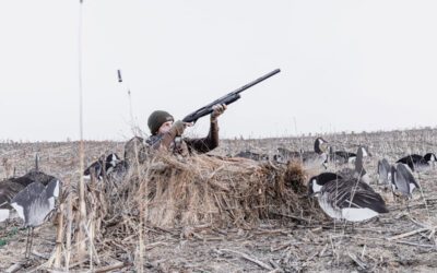 Tested: Benelli’S M2 Field