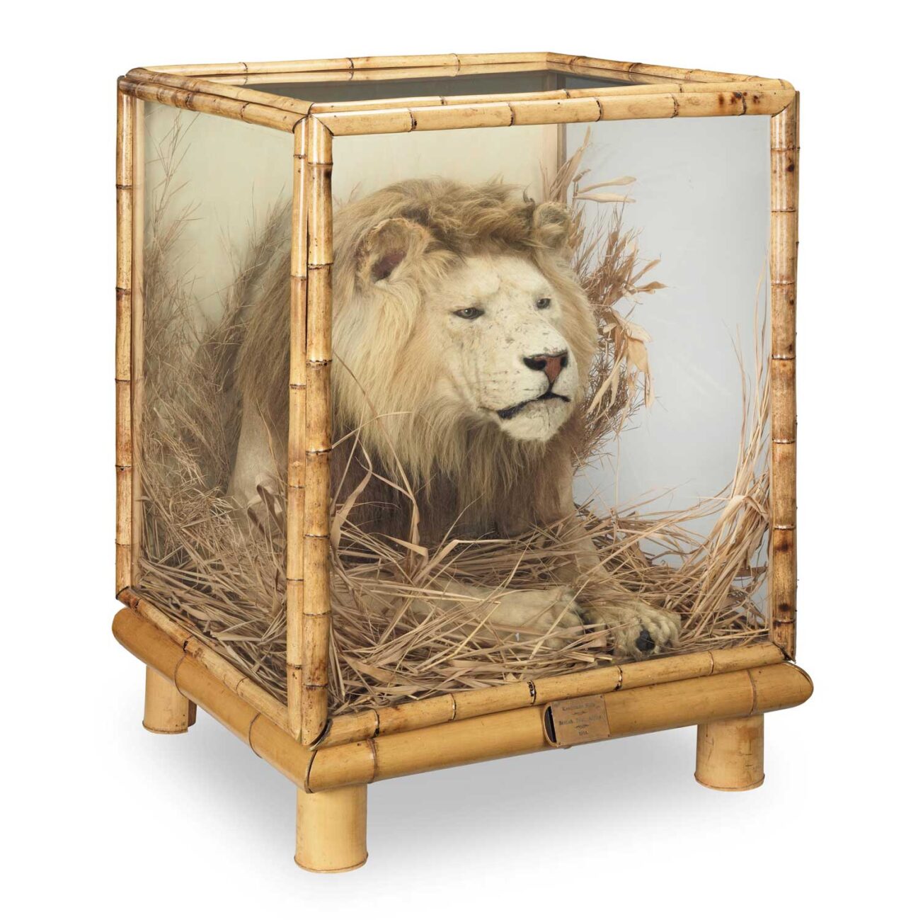 Private Rolan Ward Rowland Ward: Entrepreneur, Publisher, Big Game Guru and Taxidermist ...