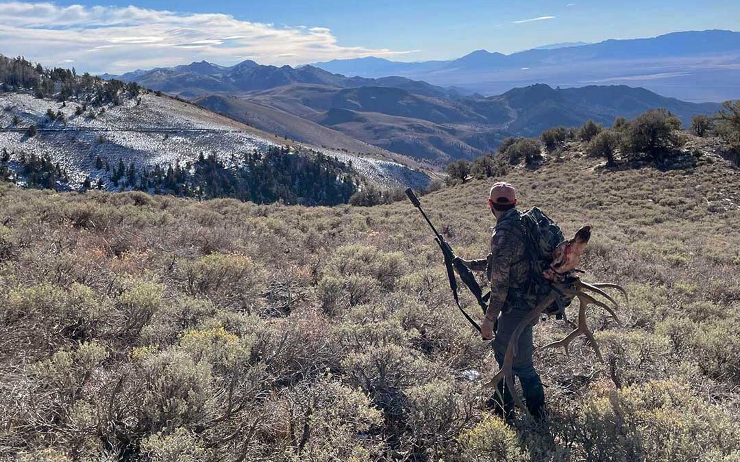 The Final Chapter: A Nevada Bull Elk Hunt