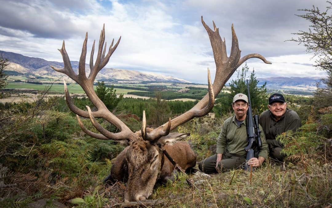 New Zealand’s  Stags